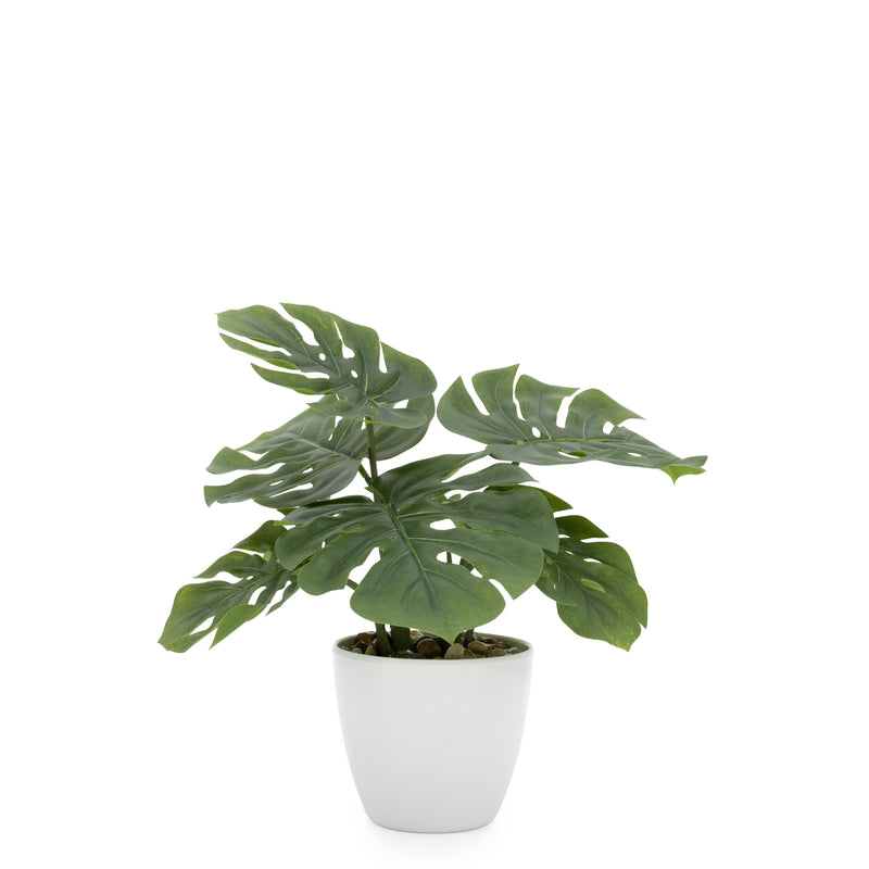 crown and birch faux potted monstera plant torre and tagus front