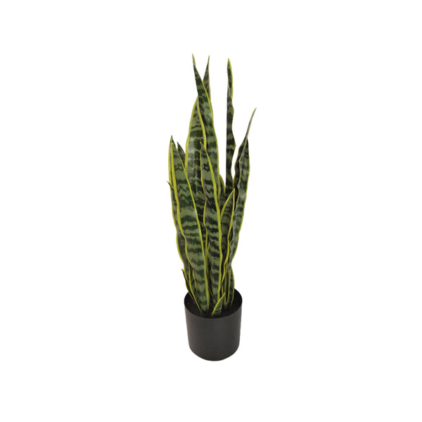 crown and birch 31" faux sanseveria front