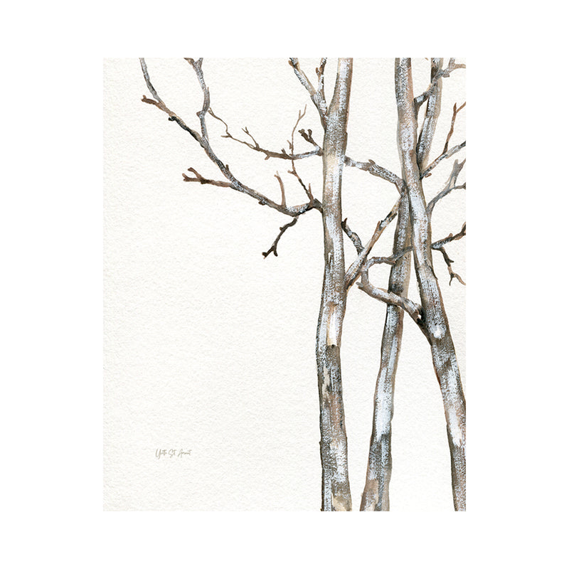 crown and birch artisan birch trees I canvas wrap